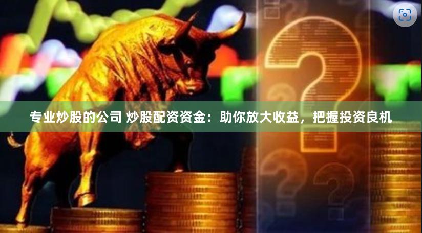 专业炒股的公司 炒股配资资金：助你放大收益，把握投资良机